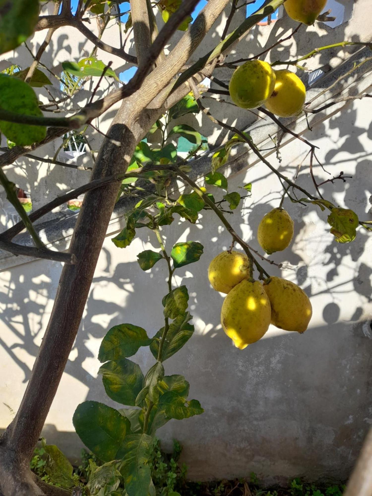 Villetta Da Fedro Leporano Buitenkant foto